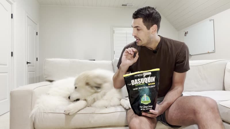 Still from my Nutramax Dasuquin with MSM Soft Chews, Large Dogs, 150 ct video